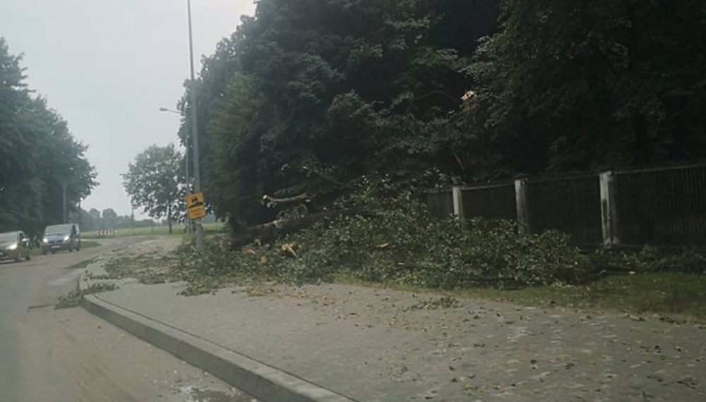 Zalane drogi, zerwane drzewa - straż miała dużo pracy w weekend - Zdjęcie główne