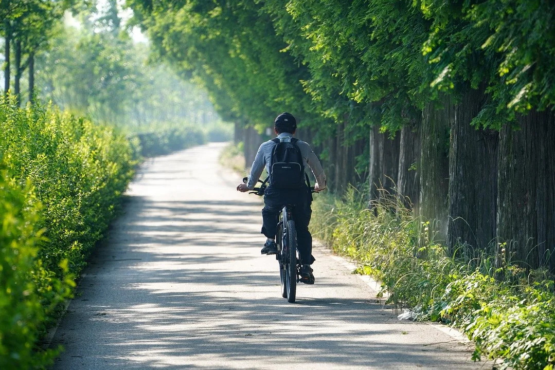 Rowerowa trasa po Puszczy Sandomierskiej. Rowerzyści przejadą 400 km - Zdjęcie główne