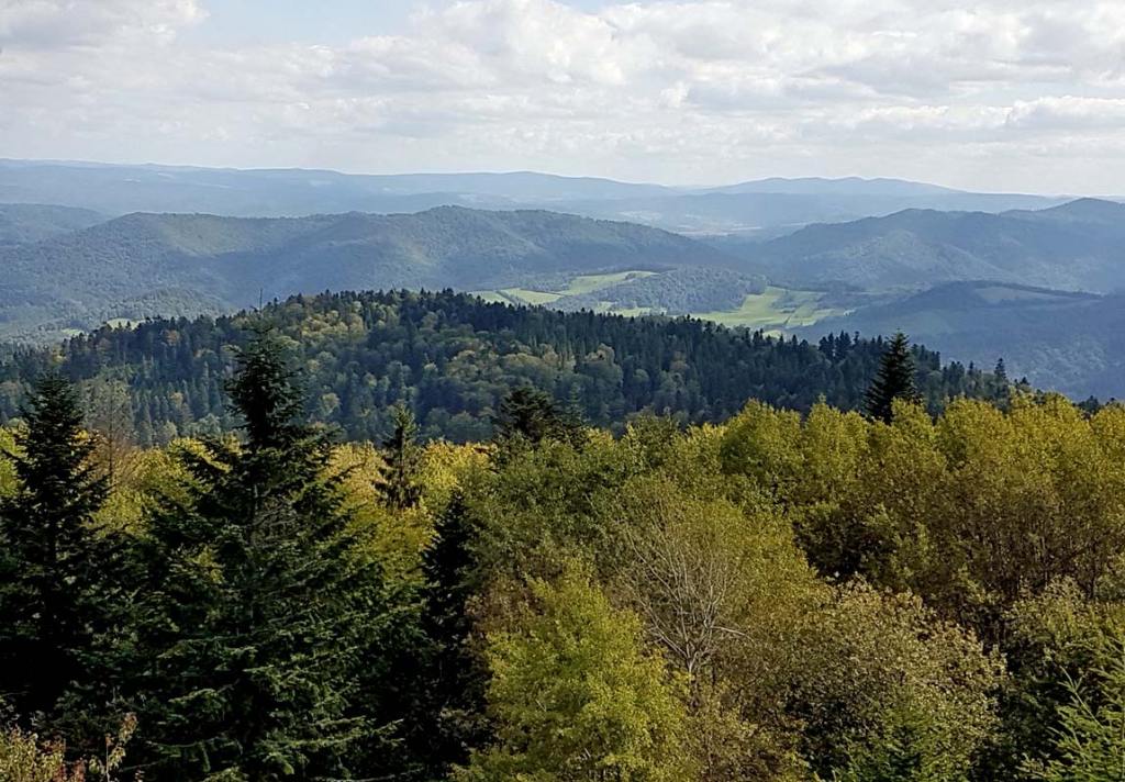 BIESZCZADY: Wieża widokowa na Korbani - Zdjęcie główne