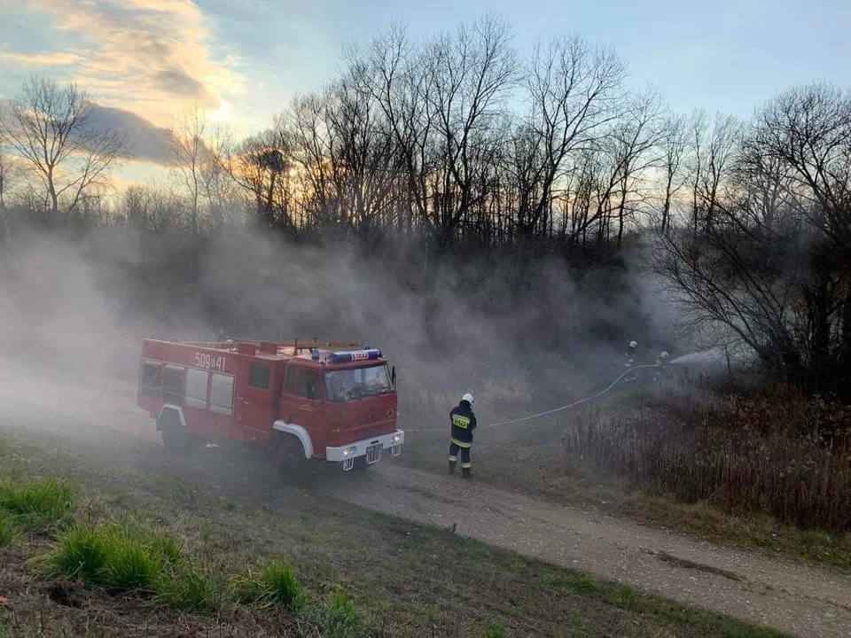 Chrząstów. Pożar nieużytków rolnych [ZDJĘCIA] - Zdjęcie główne