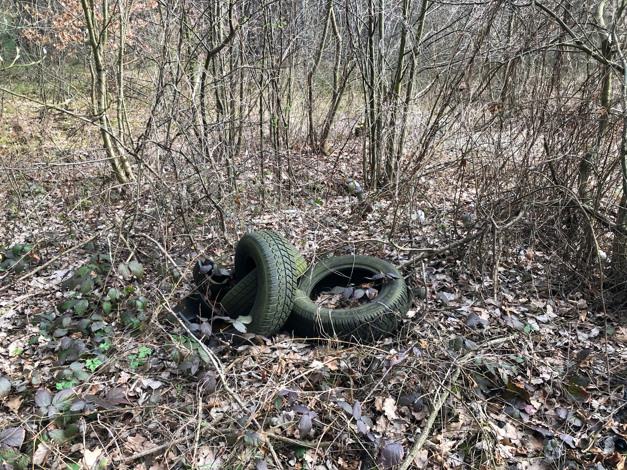 Kolejne "dzikie wysypisko" w powiecie.