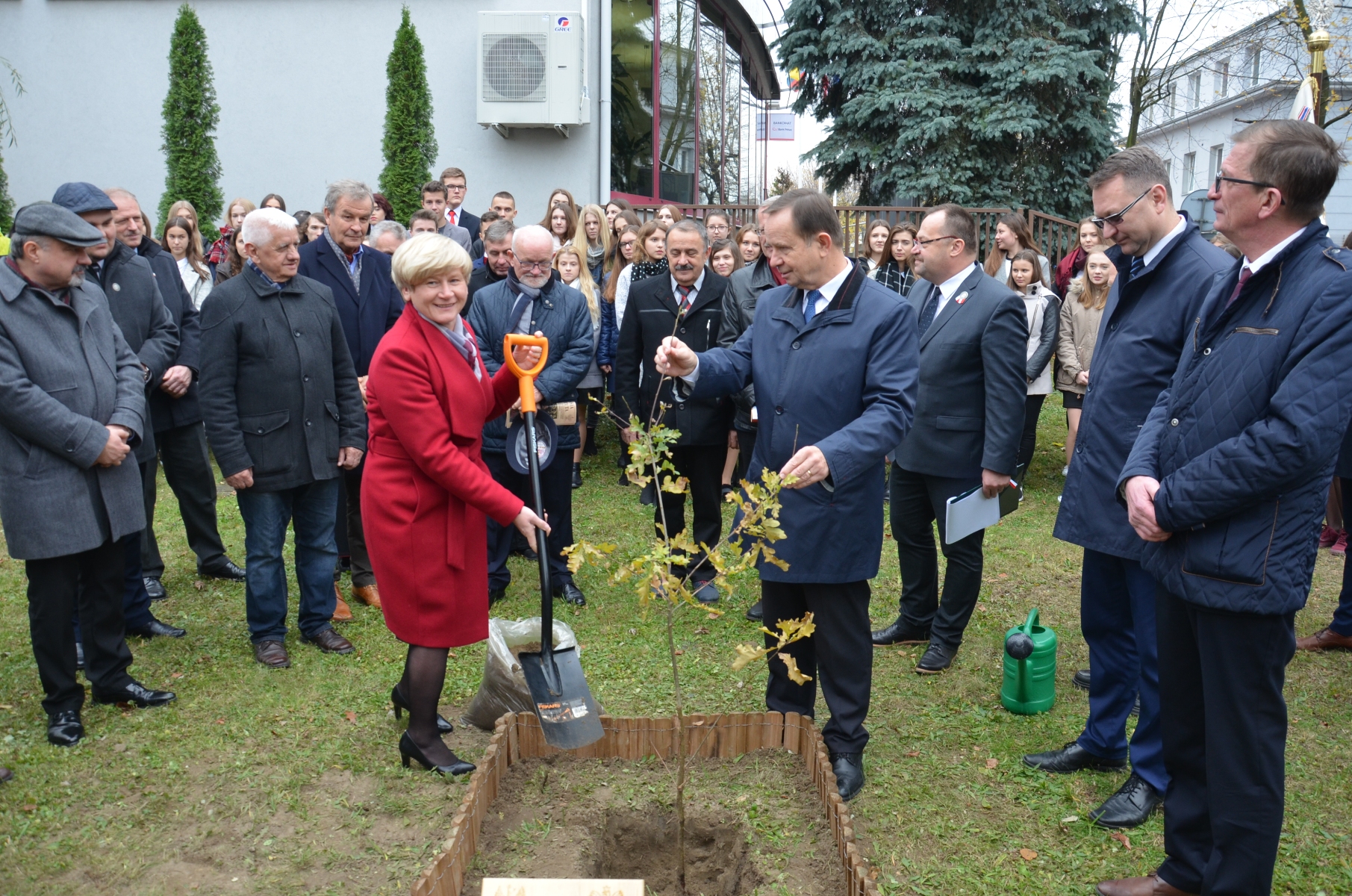 W Mielcu już rośnie Dąb Niepodległości - Zdjęcie główne