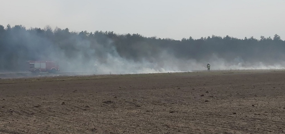 Strażacy gaszą pożar suchej trawy! [VIDEO] - Zdjęcie główne