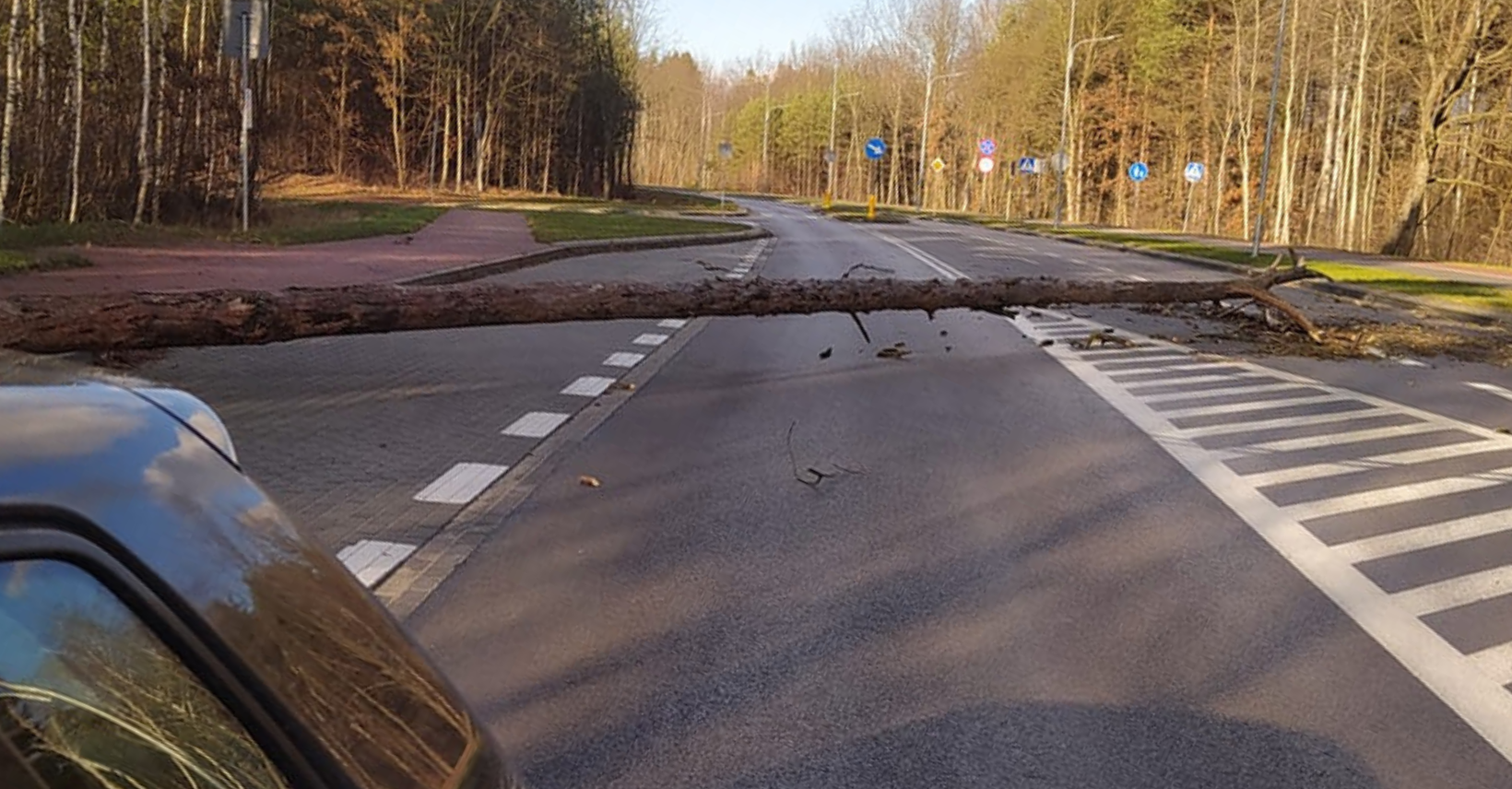 Trudne warunki na drogach! Silny wiatr w regionie - Zdjęcie główne