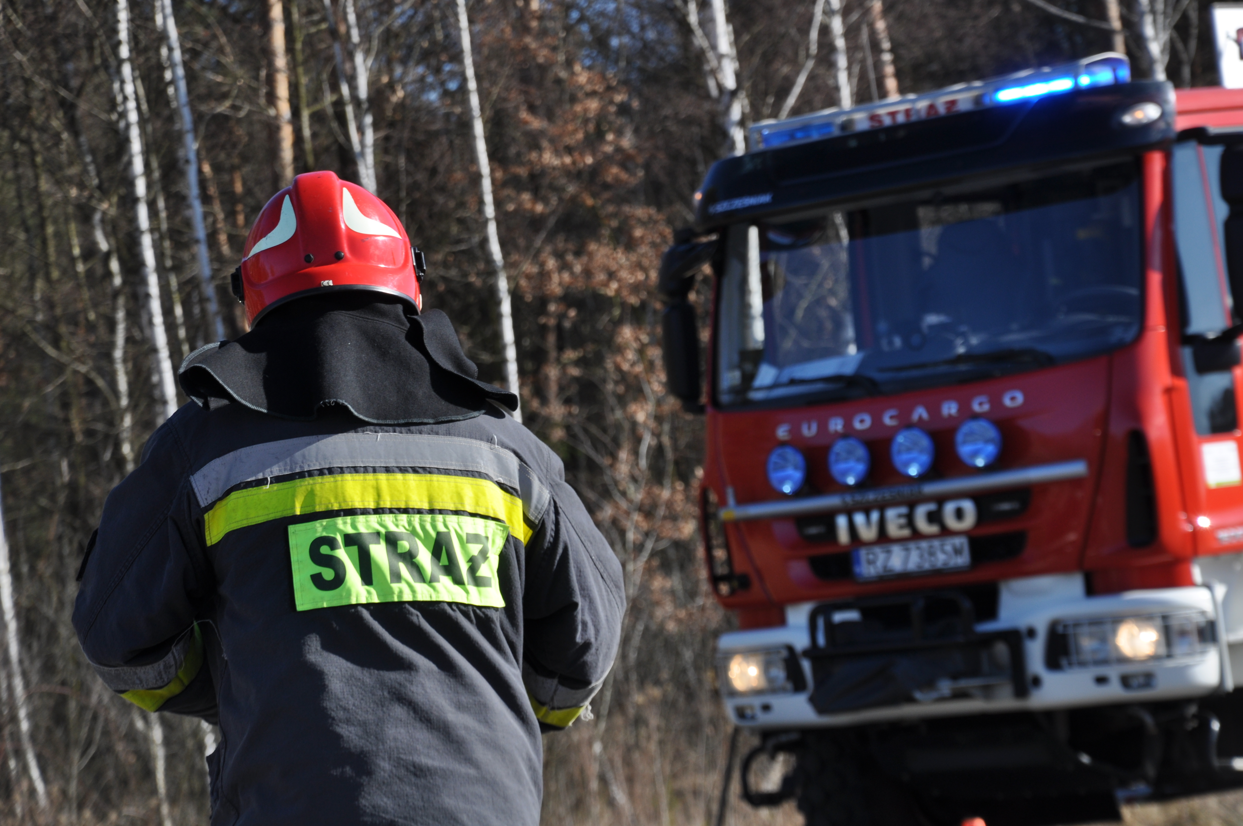 Grzybiarze zgubili się w lesie. Postawili na nogi służby ratunkowe - Zdjęcie główne