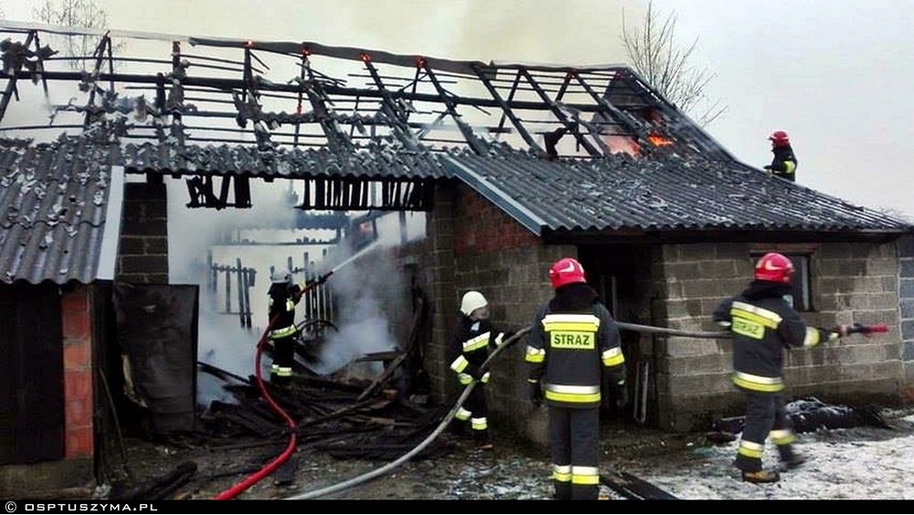 5 zastępów gasiło pożar stodoły - Zdjęcie główne