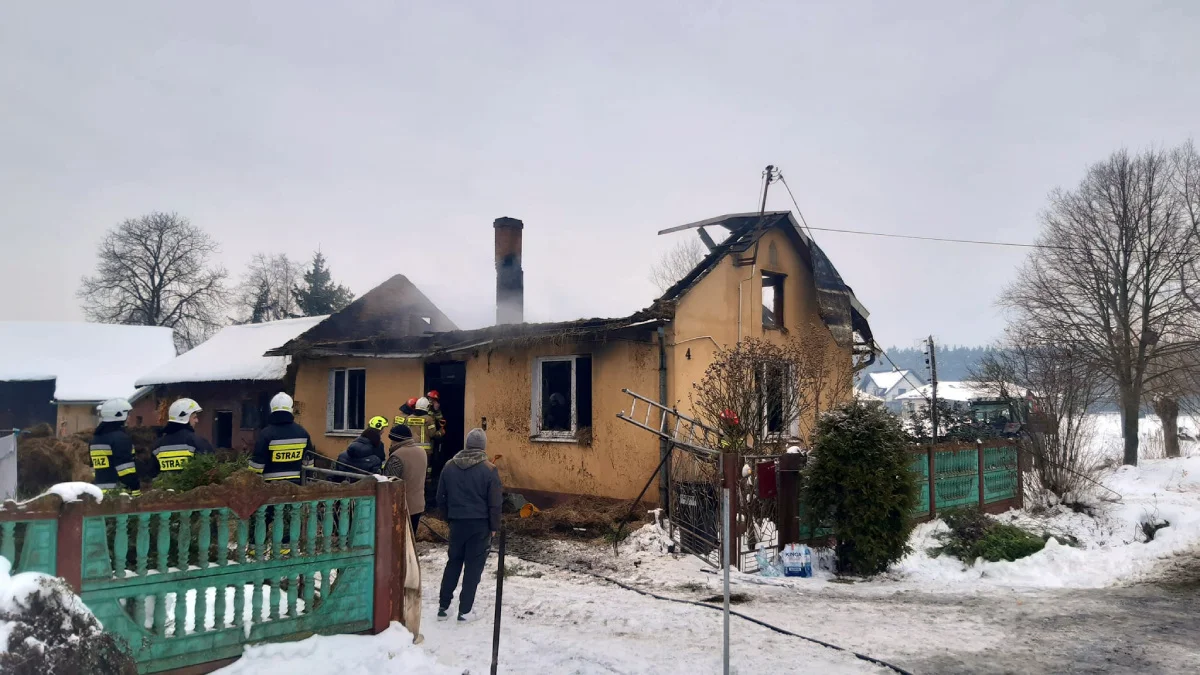 Pożar w powiecie mieleckim. Policja wyjaśnia okoliczności zdarzenia - Zdjęcie główne