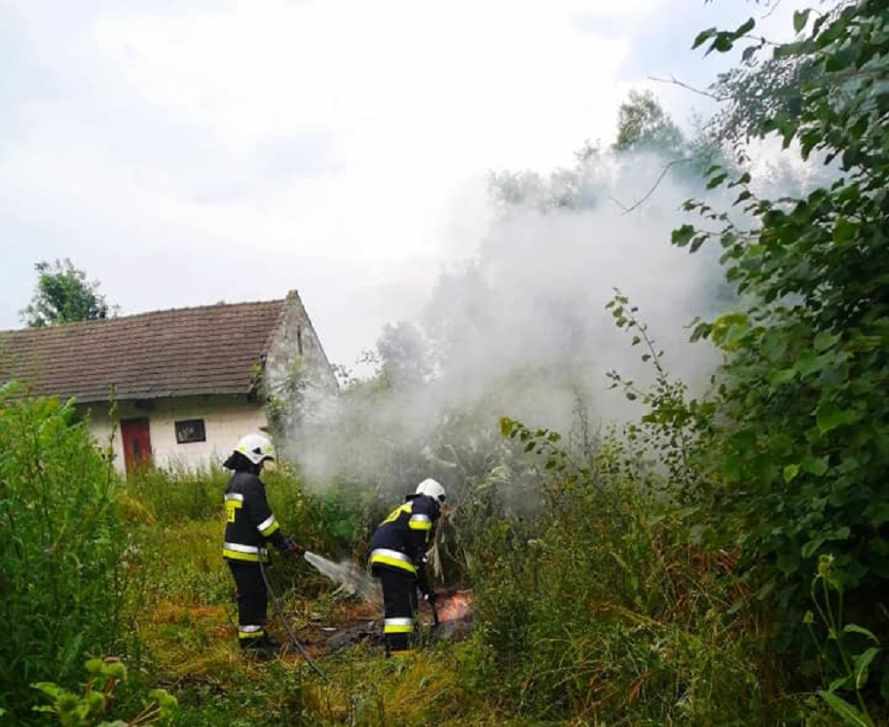 Borowa. Pożar suchej trawy i śmieci - Zdjęcie główne