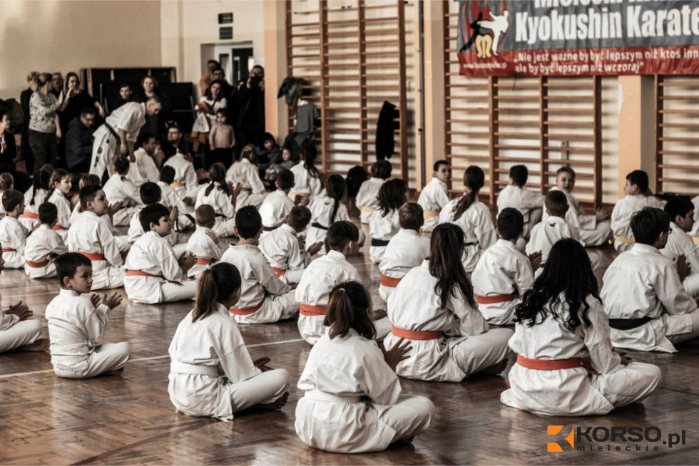 W Mielcu odbędą się Mistrzostwa Podkarpacia w karate [FOTO PLAKAT] - Zdjęcie główne