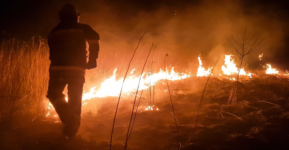 Strażacy gasili pożar traw - Zdjęcie główne