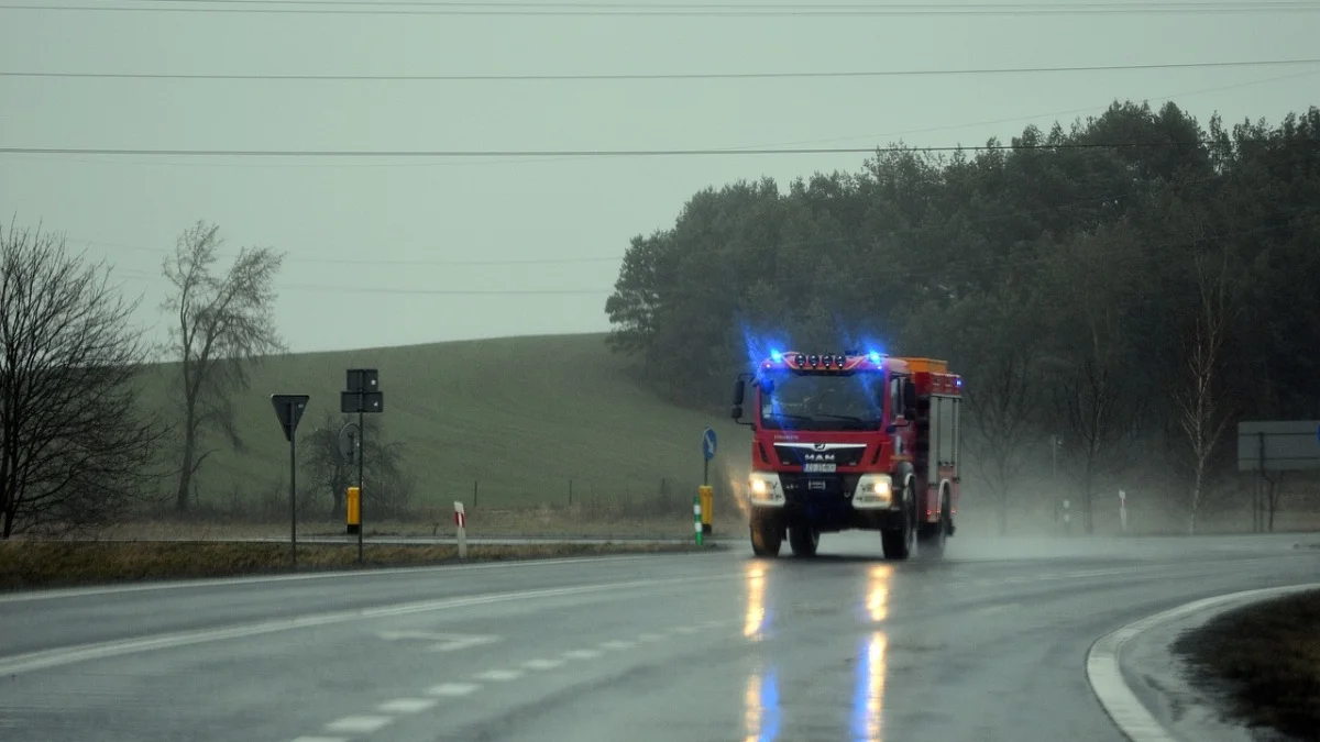 Strażacy na Pasażu w Mielcu. Prostownica uruchomiła alarm pożarowy - Zdjęcie główne