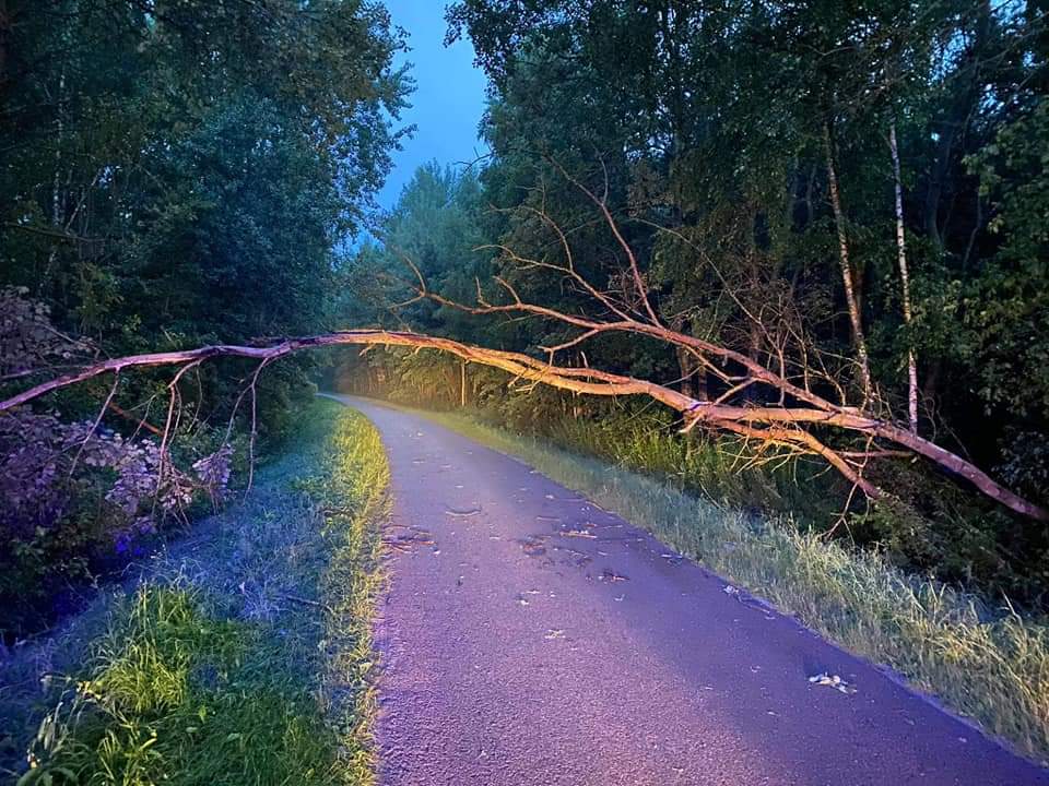 Pracowita niedziela dla strażaków