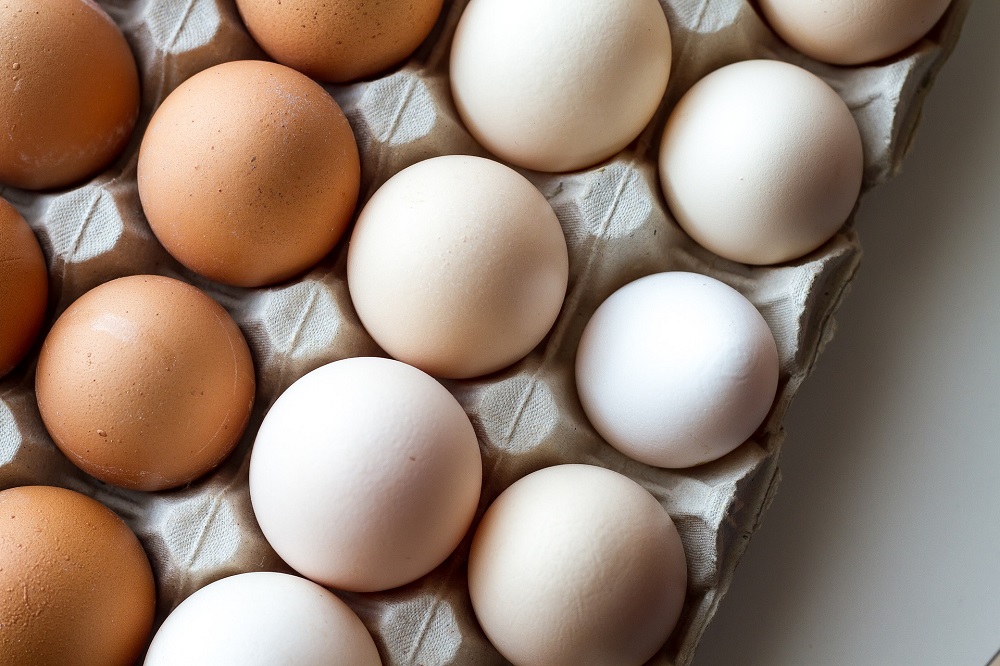 Kupując jaja wybieraj świadomie –  startuje edukacyjna kampania konsumencka w sklepie E.Leclerc - Zdjęcie główne