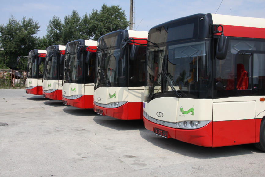 Więcej autobusów miejskich już od 30 października w Mielcu - Zdjęcie główne