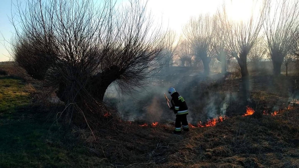 Duży pożar traw w Przykopie. Na miejscu z ogniem walczą strażacy - Zdjęcie główne