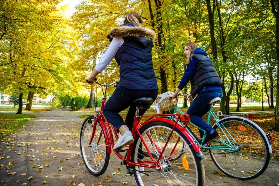 Co rowerzyście wolno, a czego nie - czy na pewno jesteśmy przygotowani do sezonu? - Zdjęcie główne