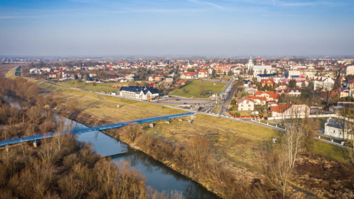 Dziki buszują w ogródkach. Gmina Miejska Mielec podjęła działania - Zdjęcie główne