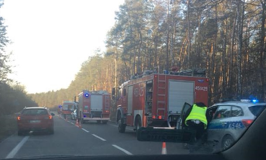 Wypadek z udziałem sarny. Ruch wahadłowy na drodze w stronę Kolbuszowej  - Zdjęcie główne