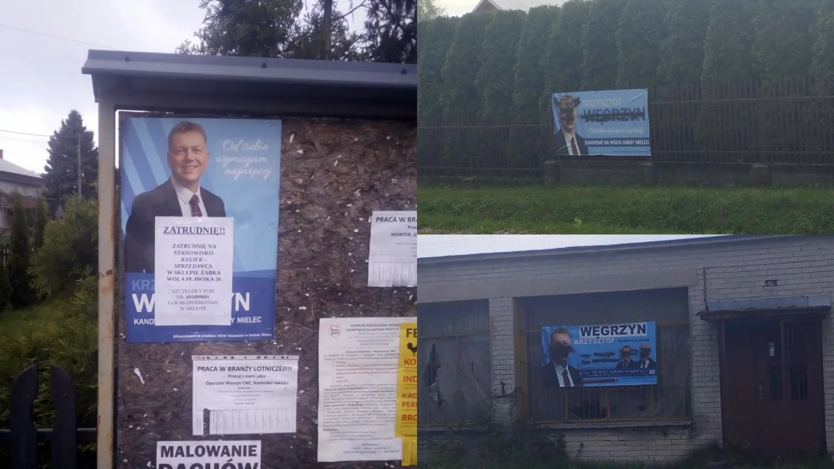Zniszczone banery wyborcze jednego z kandydatów na wójta gminy Mielec [ZDJĘCIA] - Zdjęcie główne