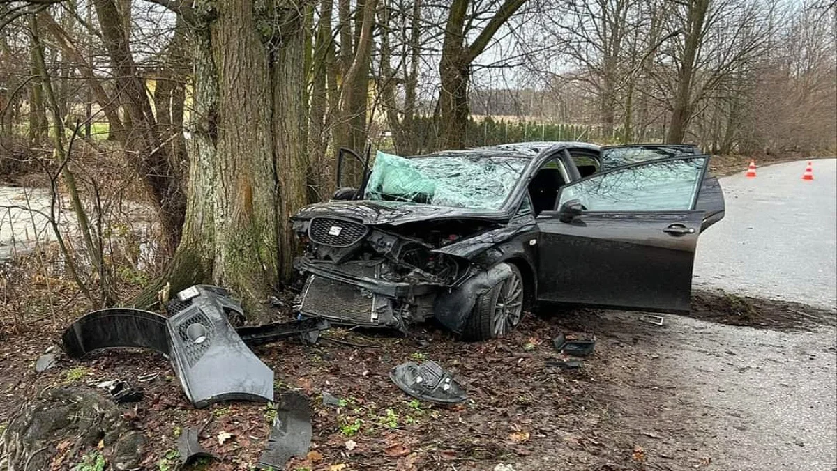 Pijany 21-latek zjechał z drogi w powiecie mieleckim i uderzył w drzewo - Zdjęcie główne