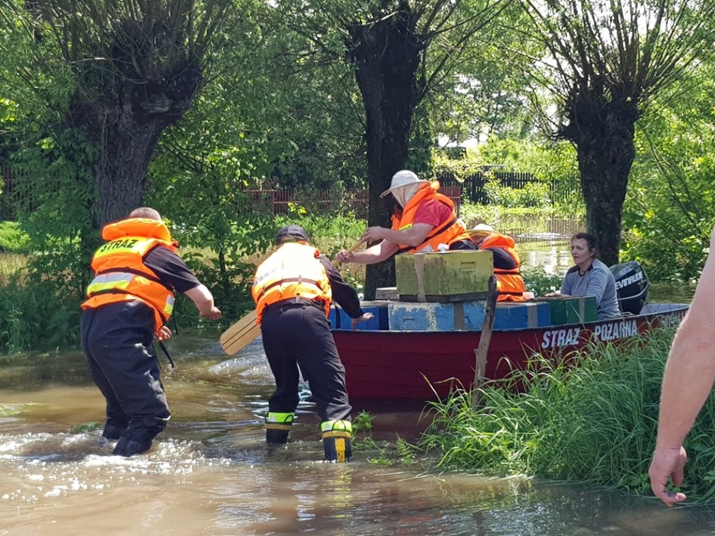 Ewakuacja ludzi i pasieki w Brniu Osuchowskim [FOTO, VIDEO] - Zdjęcie główne