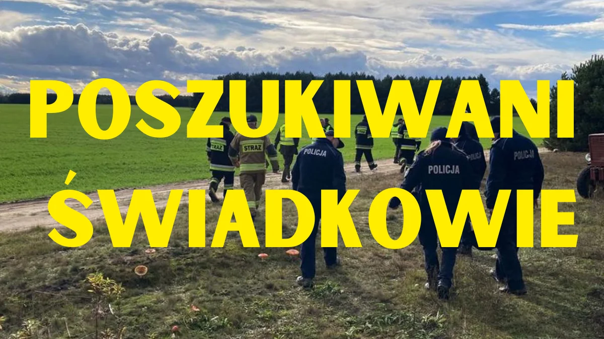 Uciekła z miejsca zdarzenia. Policja poszukuje świadków - Zdjęcie główne