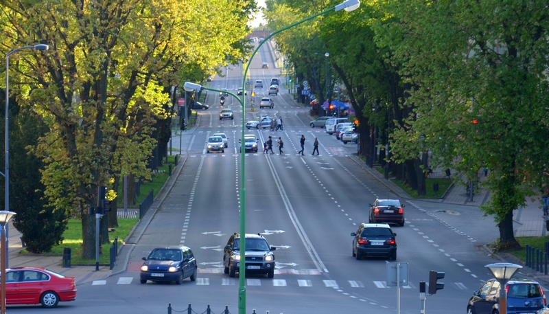 MPK ogranicza kursy autobusowe - Zdjęcie główne