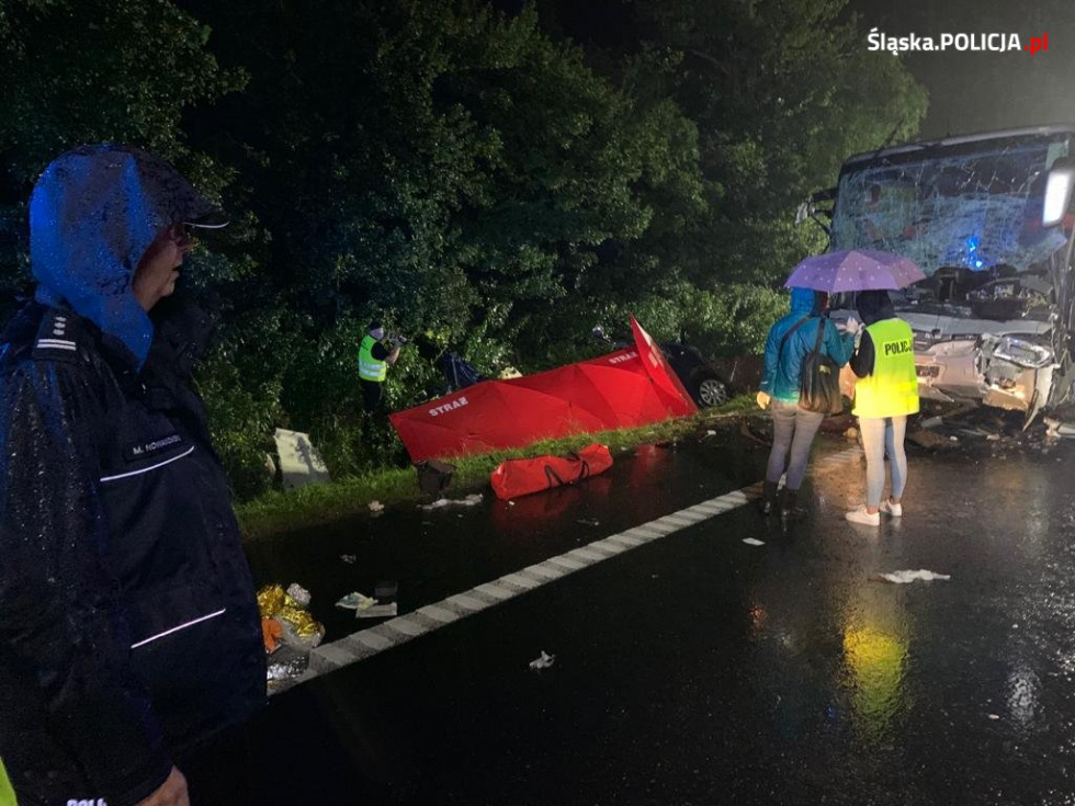 Tragiczny wypadek na Śląsku. Wśród ofiar 7 mieszkańców Podkarpacia - Zdjęcie główne