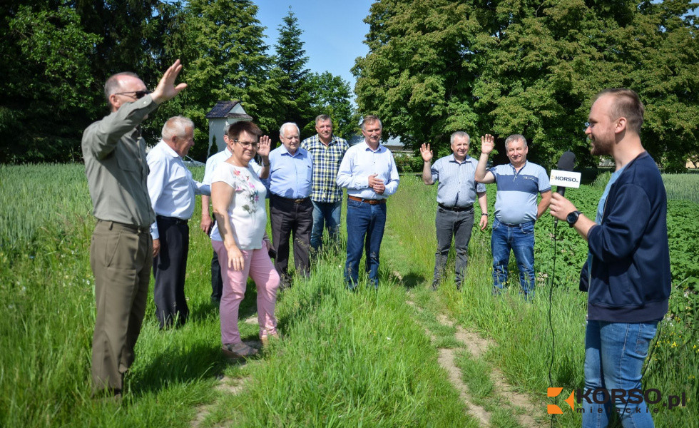 Sosna wyprzedza lipę! Nasze drzewo wciąż czeka na głosy - Zdjęcie główne