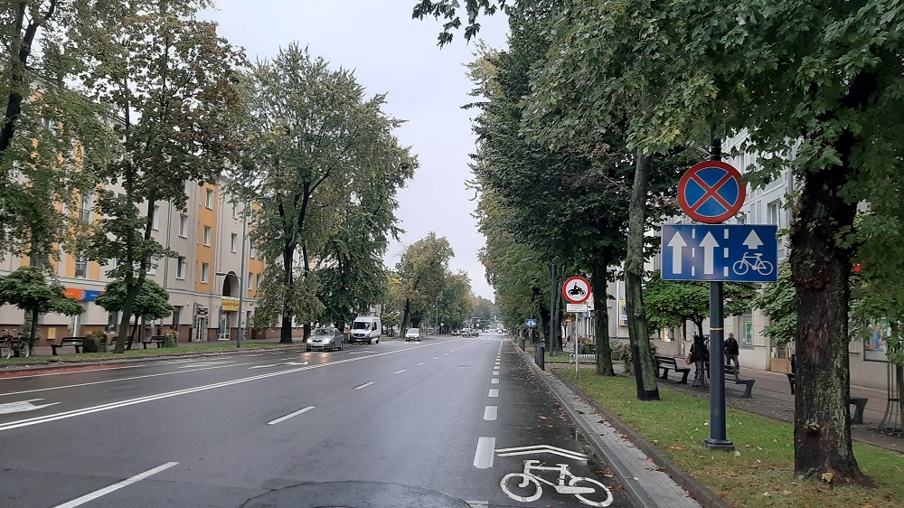 Jest wniosek o wycinkę drzew na al. Niepodległości!  - Zdjęcie główne