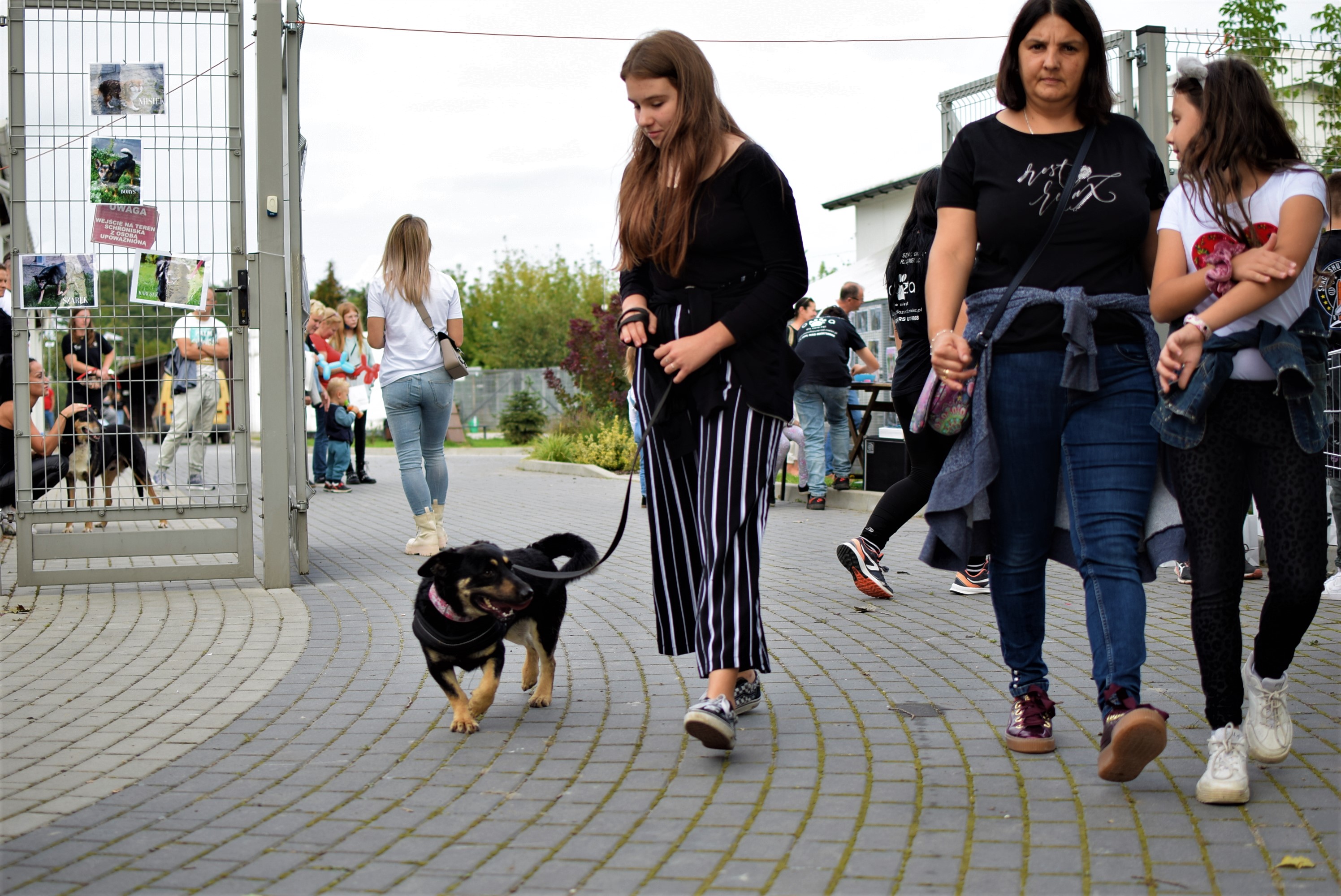 Dni Otwarte w mieleckim schronisku [ZDJĘCIA]