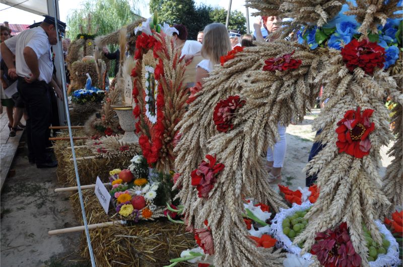 Na początku września w Mielcu dożynki powiatowe [PROGRAM] - Zdjęcie główne