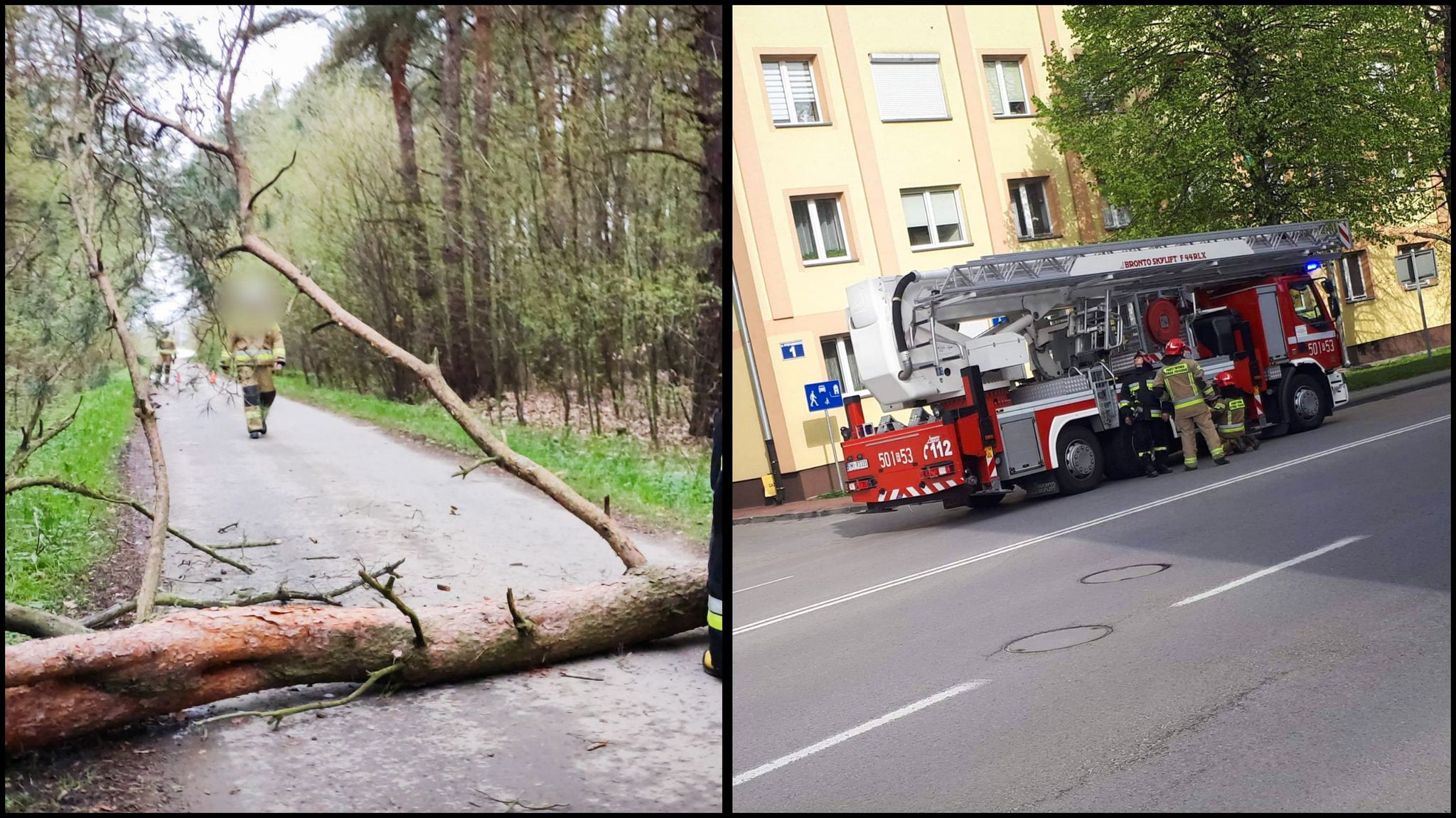 Strażacy mieli pełne ręce roboty - Zdjęcie główne