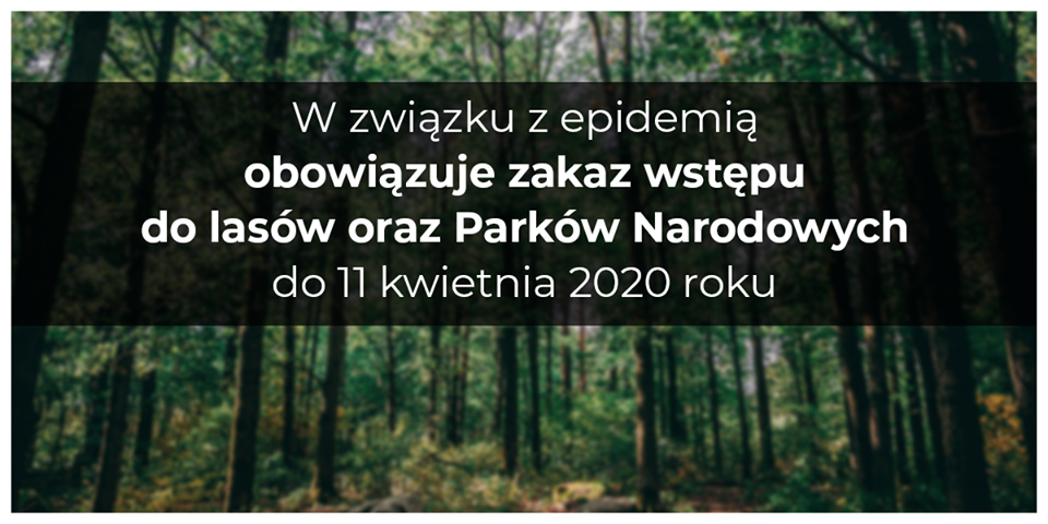 W związku z koronawirusem do 11 kwietnia zakaz wstępu do lasów i parków narodowych - Zdjęcie główne