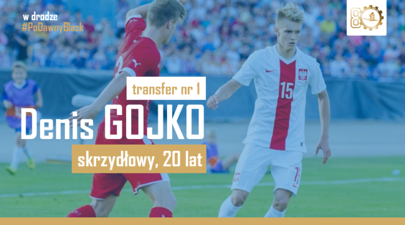 Pierwszy zimowy transfer do PGE FKS Stal Mielec: Denis Gojko - Zdjęcie główne