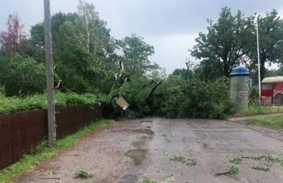 Pogoda wciąż niespokojna. W Mielcu nawałnica powaliła drzewa  - Zdjęcie główne