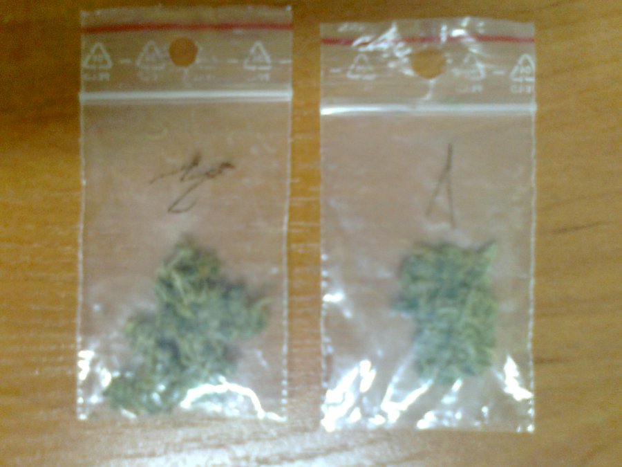 Na al. Ducha Świętego w Mielcu - Policjanci zatrzymali dwóch mężczyzn za posiadanie narkotyków! - Zdjęcie główne