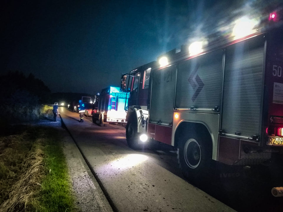 Pożar w środku lasu! - Zdjęcie główne