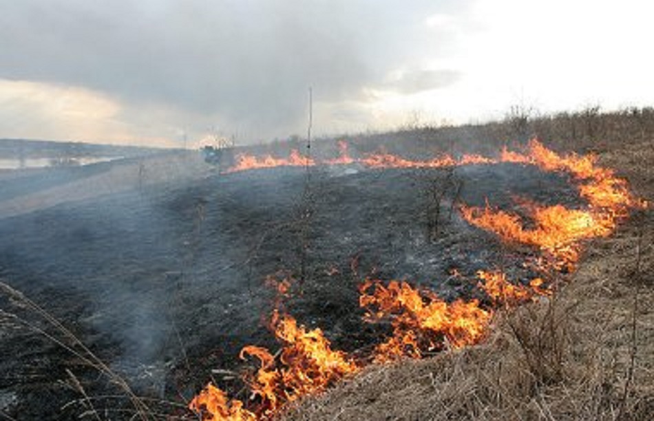 37-letni podpalacz usłyszał zarzuty - Zdjęcie główne