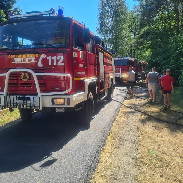 Pożar lasu w gminie Tuszów Narodowy  - Zdjęcie główne