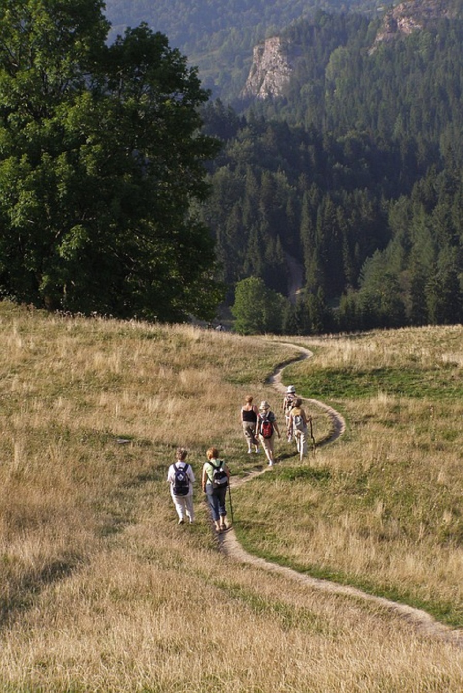 BIESZCZADY: Na Połonienie Wetlińskiej zmarł turysta - Zdjęcie główne