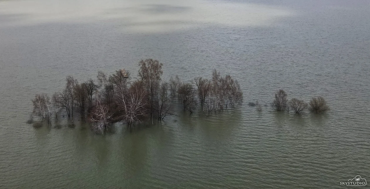 SOLINA. Zalana wyspa! Wysoki stan wody w Jeziorze Solińskim! [ZDJĘCIA] - Zdjęcie główne