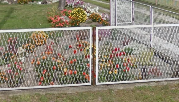 Ciekawe ogrody z powiatu mieleckiego uwiecznione w Google Street View - Zdjęcie główne