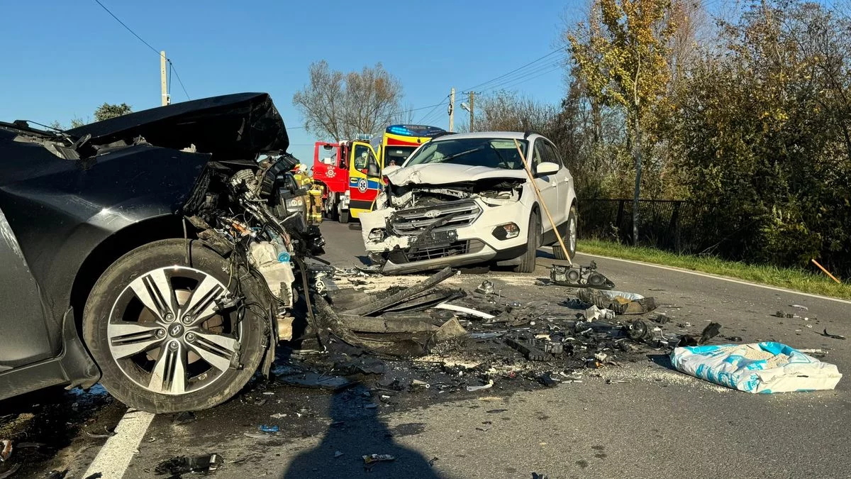 Czołowe zderzenie w Sadkowej Górze. Ranne cztery osoby, w tym dziecko - Zdjęcie główne