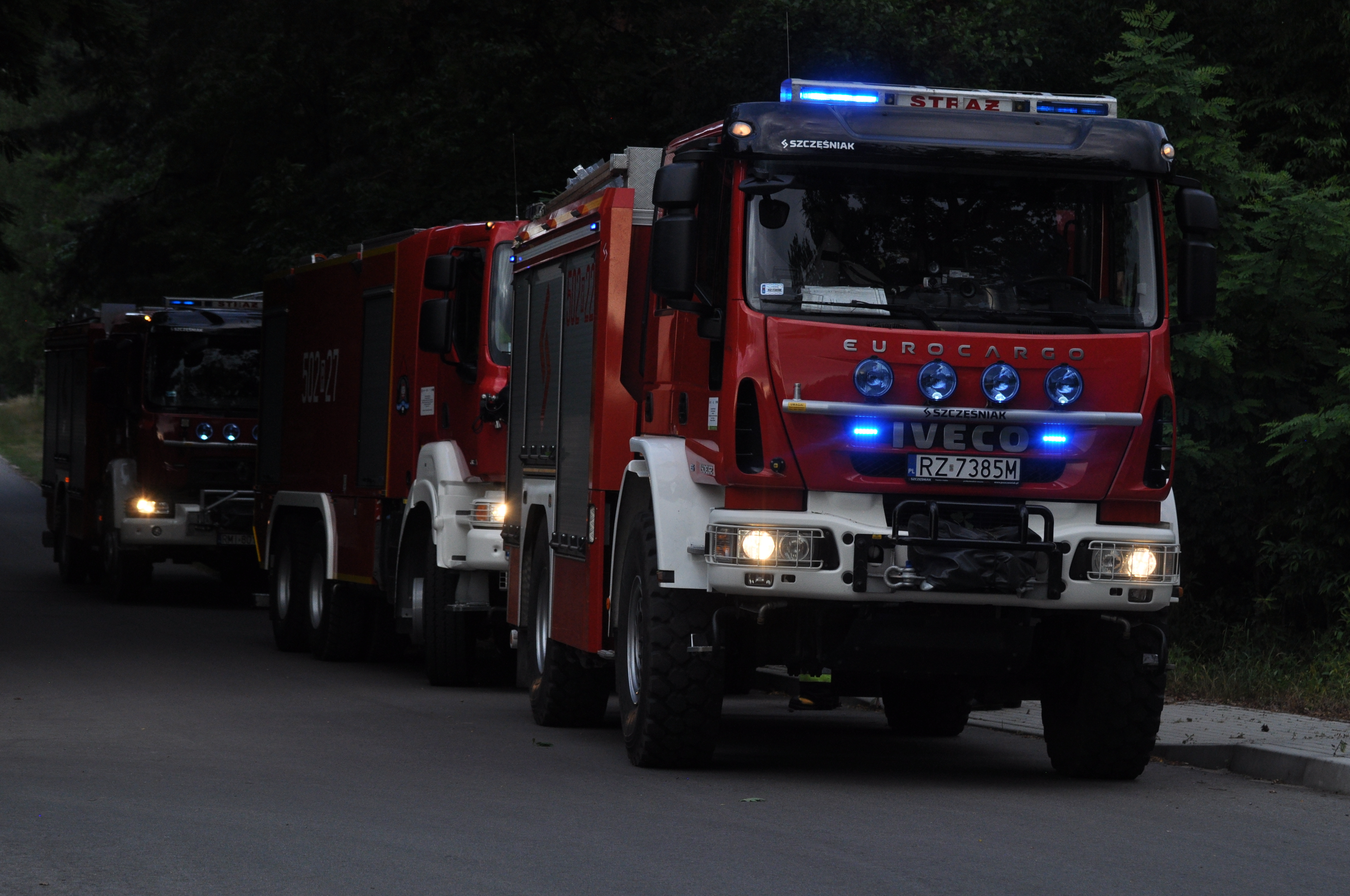 Pożar lasu. Na miejsce jadą jednostki straży pożarnej! - Zdjęcie główne