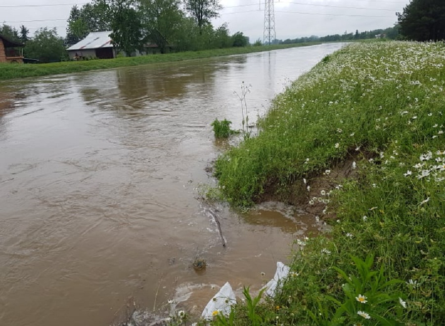 Nie tylko ludzie ucierpieli. Ewakuacja psów ze schroniska w Wadowicach - Zdjęcie główne