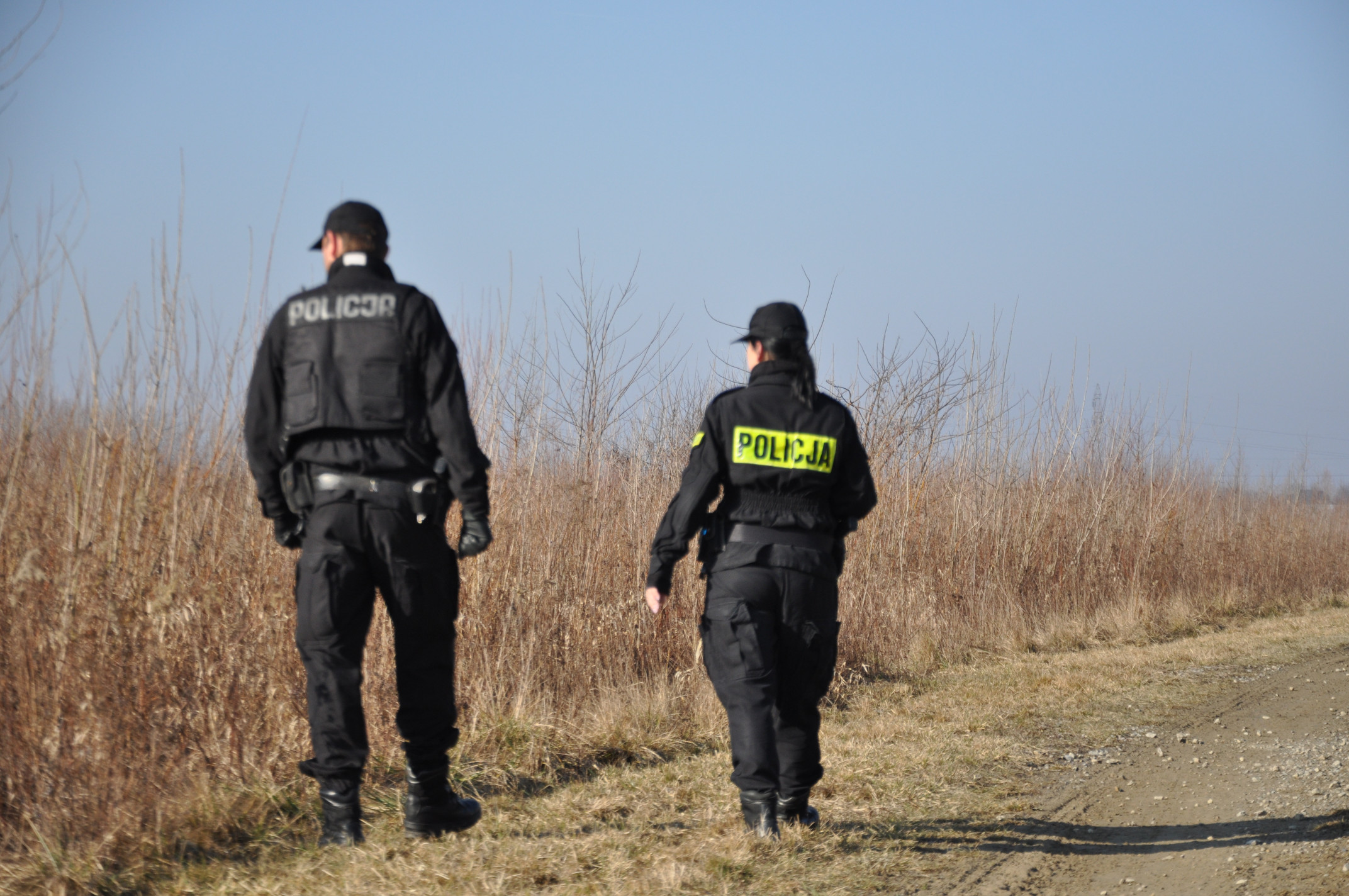 Poszukiwania nad Wisłoką wciąż bez finału - Zdjęcie główne