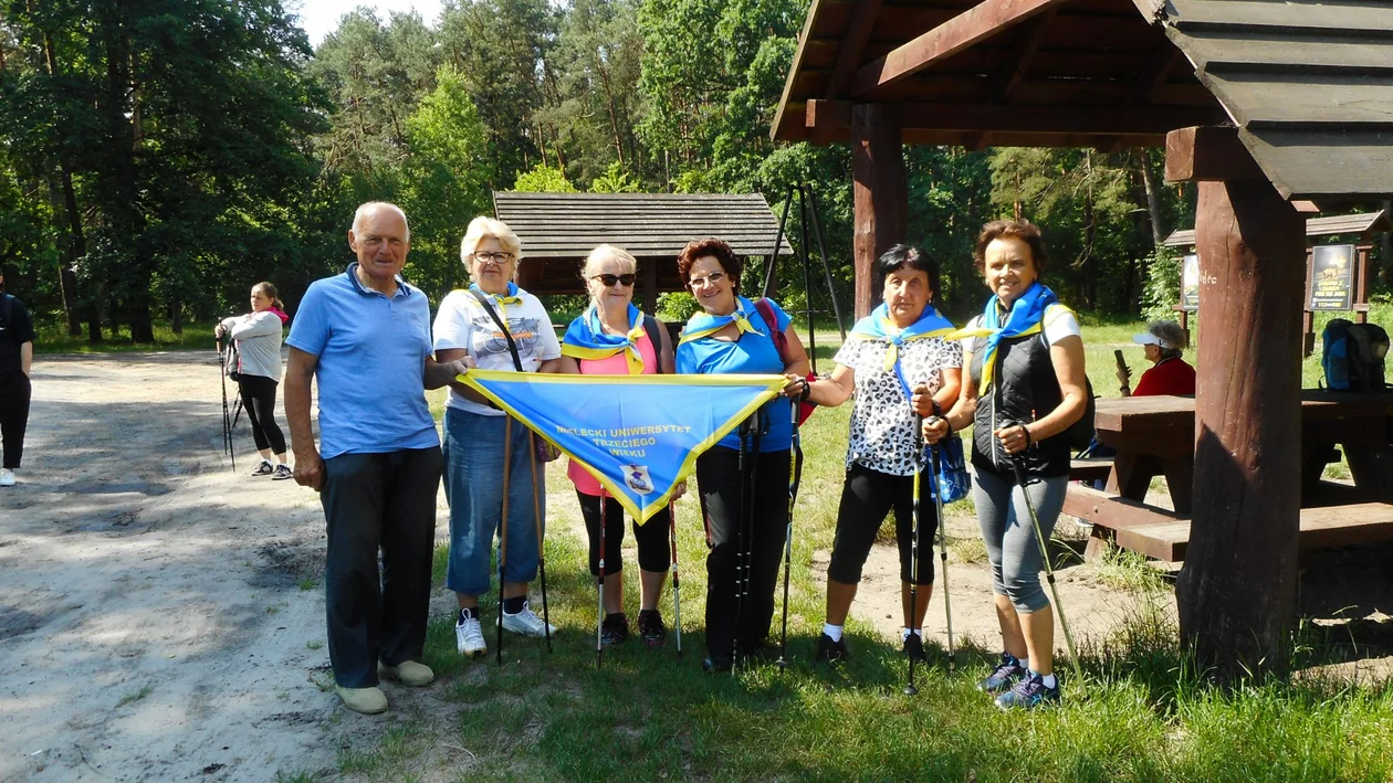 Wspólny spacer nordic walking [ZDJĘCIA]  - Zdjęcie główne