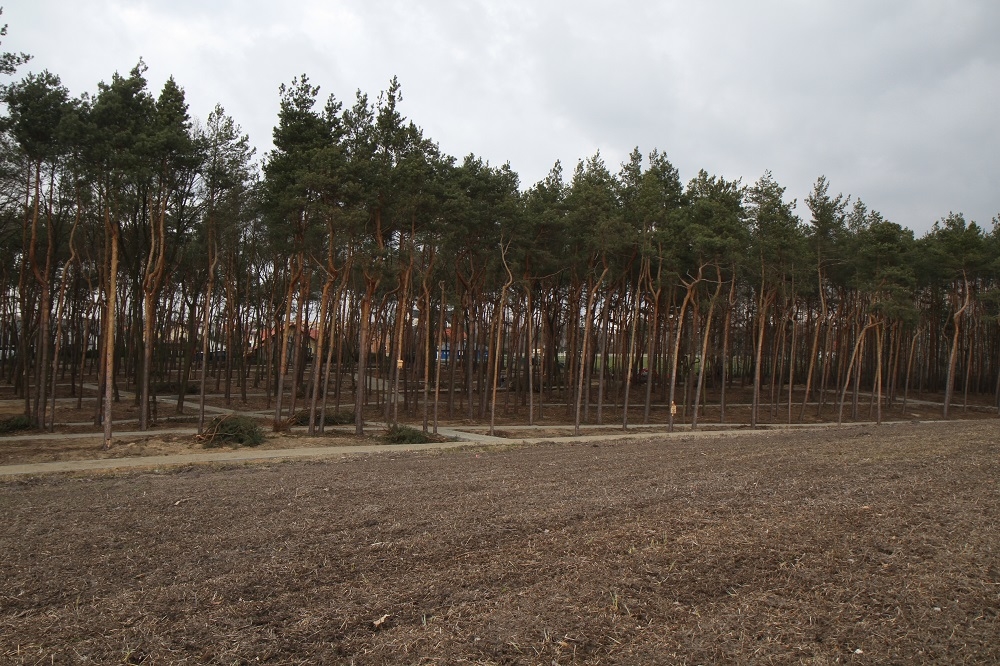 W Mielcu powstaje nowy park. Otwarcie jeszcze w tym roku!  - Zdjęcie główne