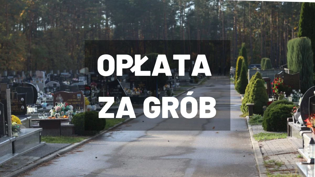 Czy groby Twoich bliskich są bezpieczne? Na mieleckim cmentarzu wciąż ponad 750 miejsc bez opłat - Zdjęcie główne